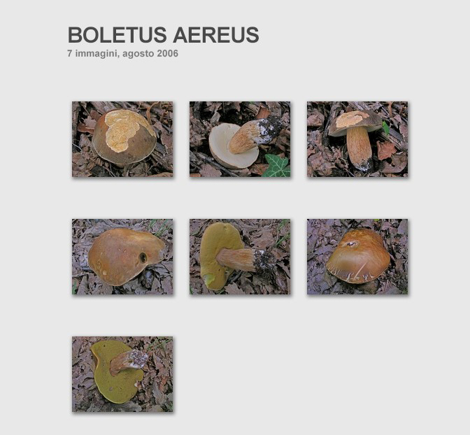 BRISE......sar� forse un addio.